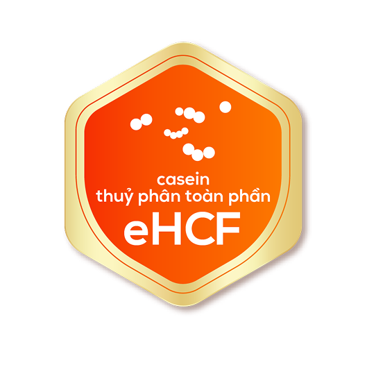 eHCF_logo